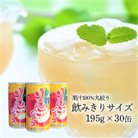 JAいわて平泉《果汁100%りんごジュース》完熟しぼり 飲みきりサイズ195g×30缶