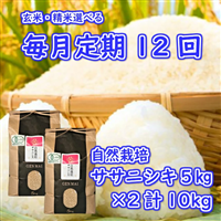 [ 新米先行予約 ][毎月定期12回]令和6年産米 自然栽培米 ササニシキ 5kg×2 (計10kg×12回)[選べる精米・玄米]