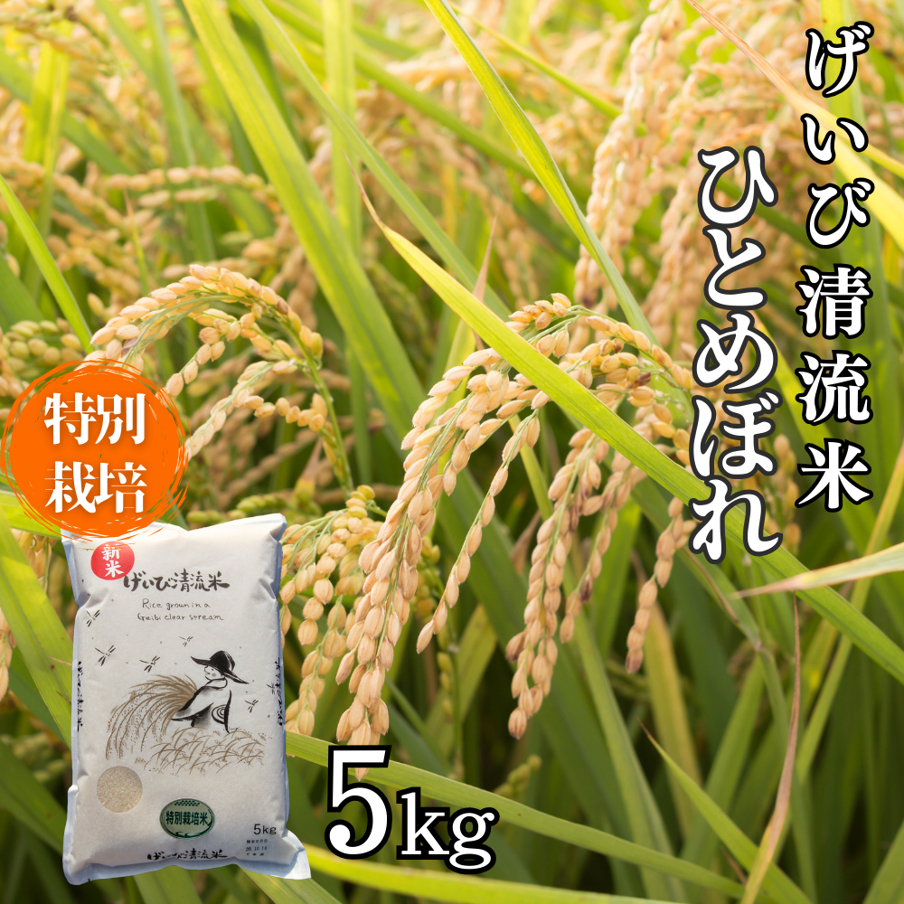 令和6年産 特別栽培 ひとめぼれ 5kg 清流が育んだお米 げいび清流米 岩手県産