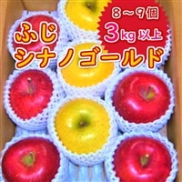 《先行予約》【11月中旬~順次発送】りんご ふじ & シナノゴールド 3kg 2品種 リンゴ セット