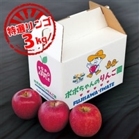 【限定9月~12月発送】いちのせきの「旬りんご」約3kg