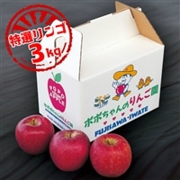 [限定9月〜12月発送]いちのせきの「旬りんご」約3kg