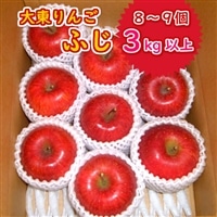 《先行予約》【11月中旬~順次発送】りんご ふじ 3kg リンゴ 8~9個