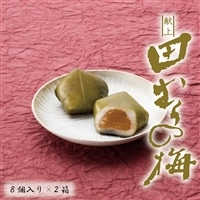 献上田むらの梅8個×2箱