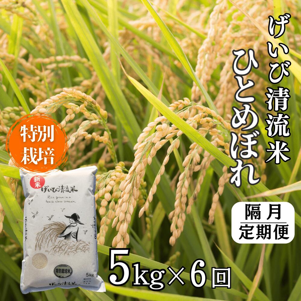 [ 新米先行予約 ][隔月定期便6回]令和7年産 特別栽培 ひとめぼれ5kg