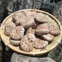 原木栽培 乾燥しいたけ「源流」 どんこ 150ｇ