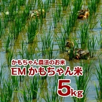 [ 先行予約 ]令和6年産 新米 EMかもちゃん米「ミルキークイーン 5kg」[精米]