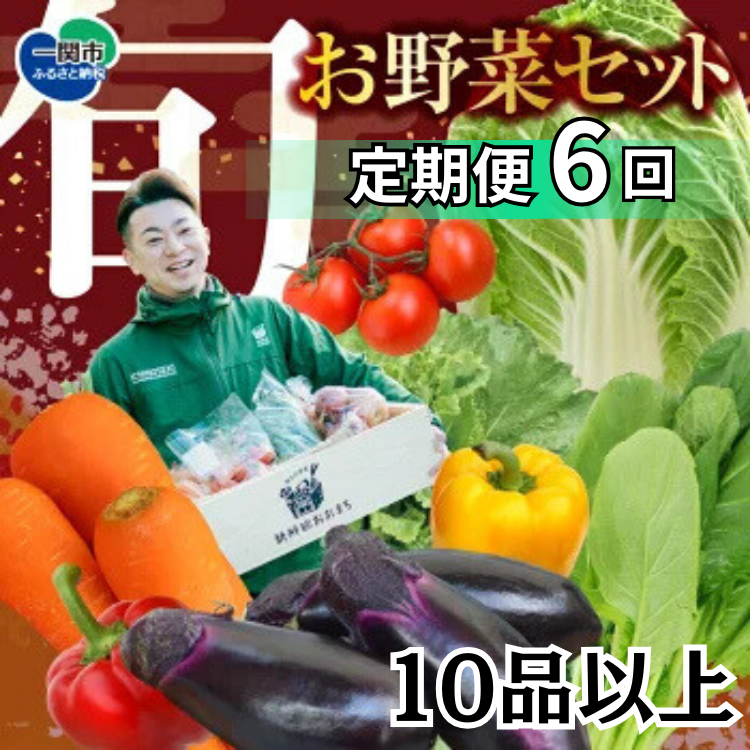 [定期便/6か月]注文が来てから農家さんに連絡! 収穫したばかりの新鮮野菜セット[10品以上保証付き!!]