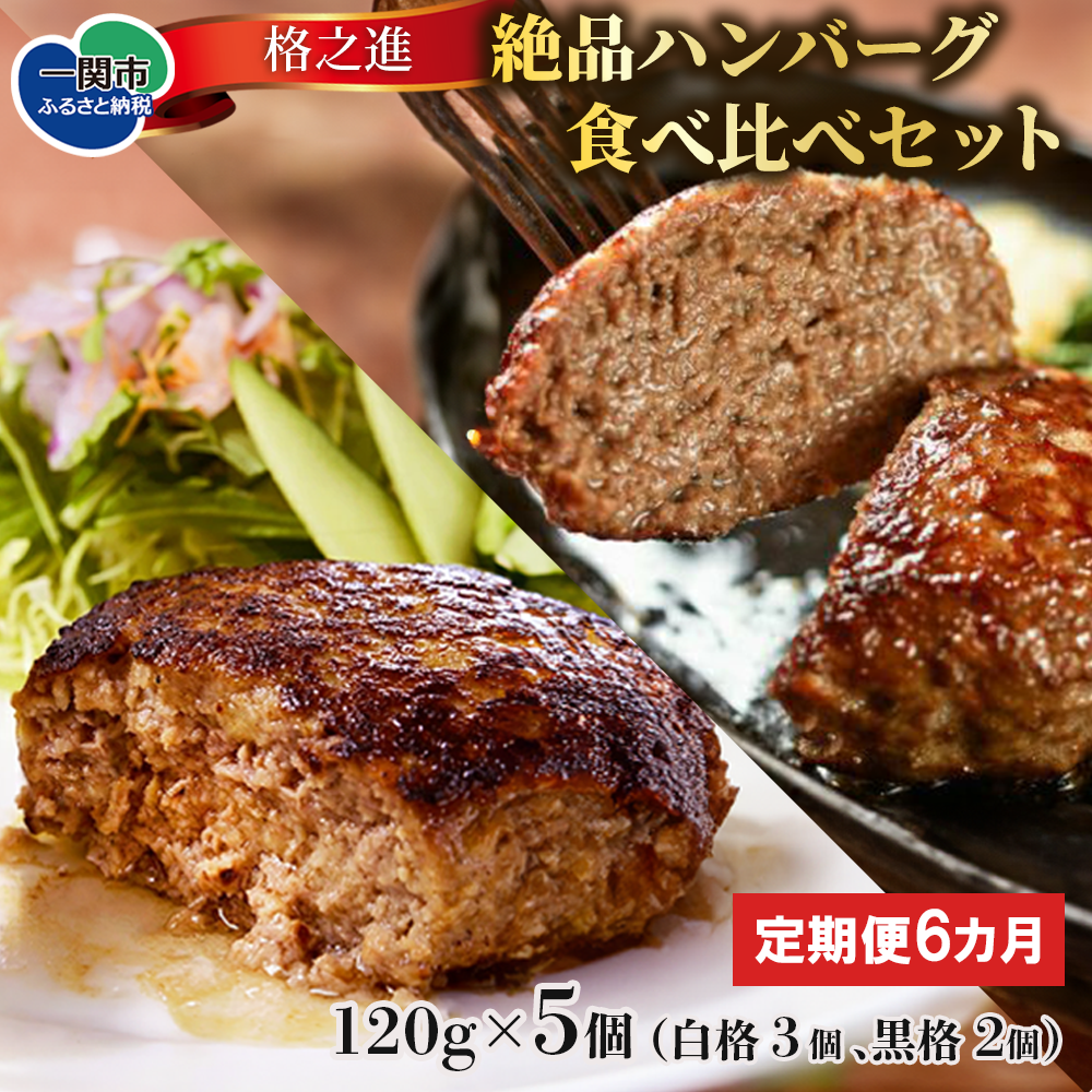 定期便/6ヶ月】《格之進》絶品ハンバーグ【白格・黒格】食べ比べセット(120g×白格3個 黒格2個)計5個×6回お届け | 岩手県一関市 | JRE  MALLふるさと納税