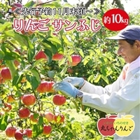 ≪先行予約11月末頃〜順次発送≫家庭用 りんご サンふじ 約10kg