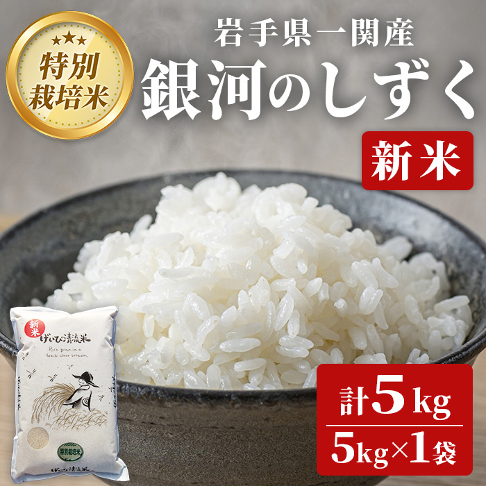 《 新米先行予約 》令和7年産 特別栽培 銀河のしずく 5kg 清流が育んだお米 げいび清流米 岩手県産
