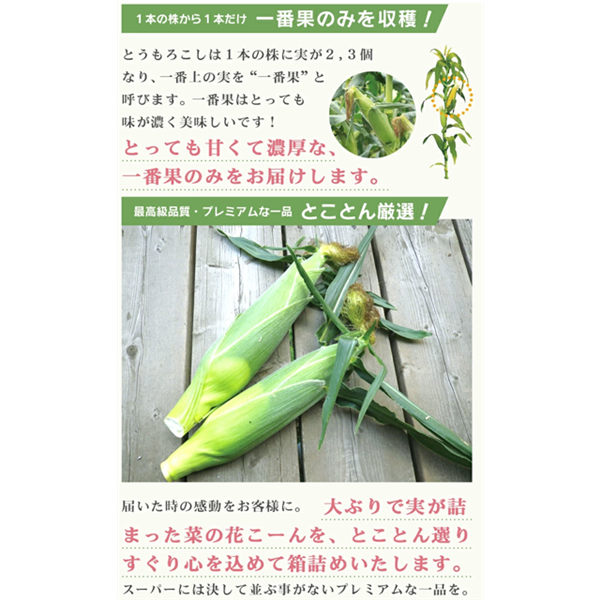 ≪訳あり≫朝採れ とうもろこし「菜の花こーん」B3L～B2Lサイズ 8～10本 | 岩手県一関市 | JRE MALLふるさと納税