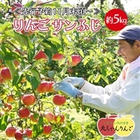 [先行予約11月末頃〜順次発送]家庭用 りんご サンふじ 約5kg