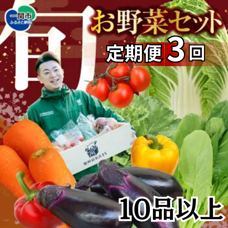 [定期便/3か月]注文が来てから農家さんに連絡! 収穫したばかりの新鮮野菜セット[10点以上保証付き!!]