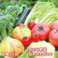 [定期便/3か月]注文が来てから農家さんに連絡! 収穫したばかりの新鮮野菜セット[10点以上保証付き!!]