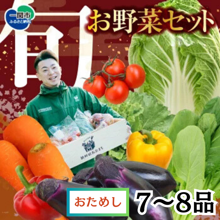 [注文が来てから収穫発送!]収穫したばかりの新鮮野菜セットお試しコース [7〜8品]