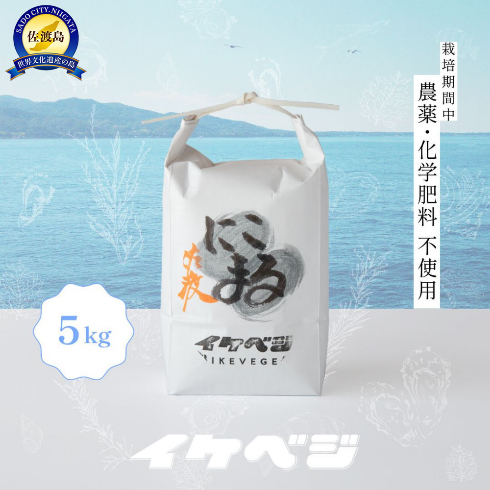 新潟県佐渡産 令和7年産 【にこまる】 玄米 5kg