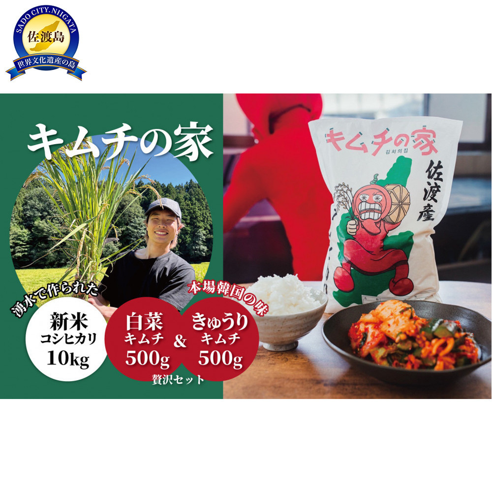 キムチの家　白菜キムチ500g きゅうりキムチ500g食べ比べと佐渡産新米コシヒカリ10kgセット