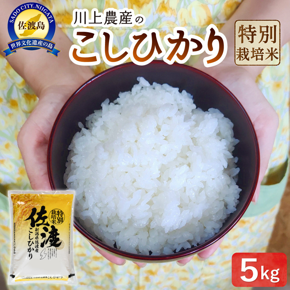 令和7年産 佐渡 川上農産のコシヒカリ(5kg)