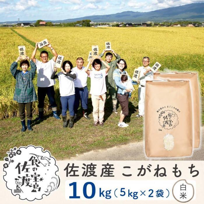 [新米]佐渡島産 こがねもち もち精米 5kg×2袋