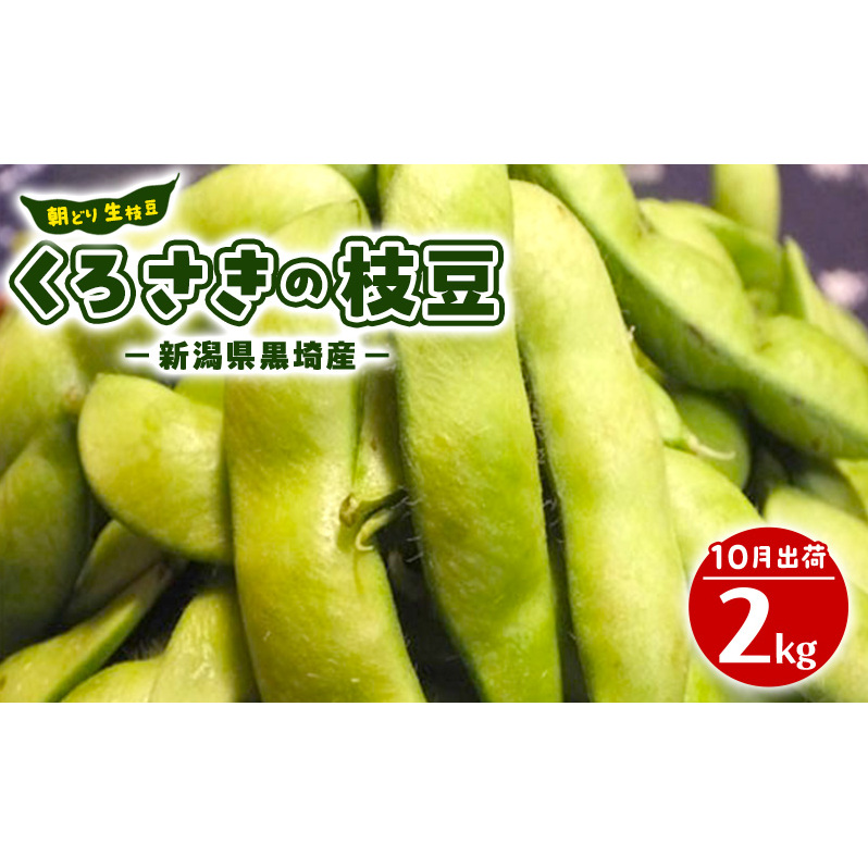 先行予約 朝どり 生枝豆 くろさきの枝豆 2kg 2025年10月発送 新潟県黒埼産 生 枝豆 えだまめ えだ豆 新潟
