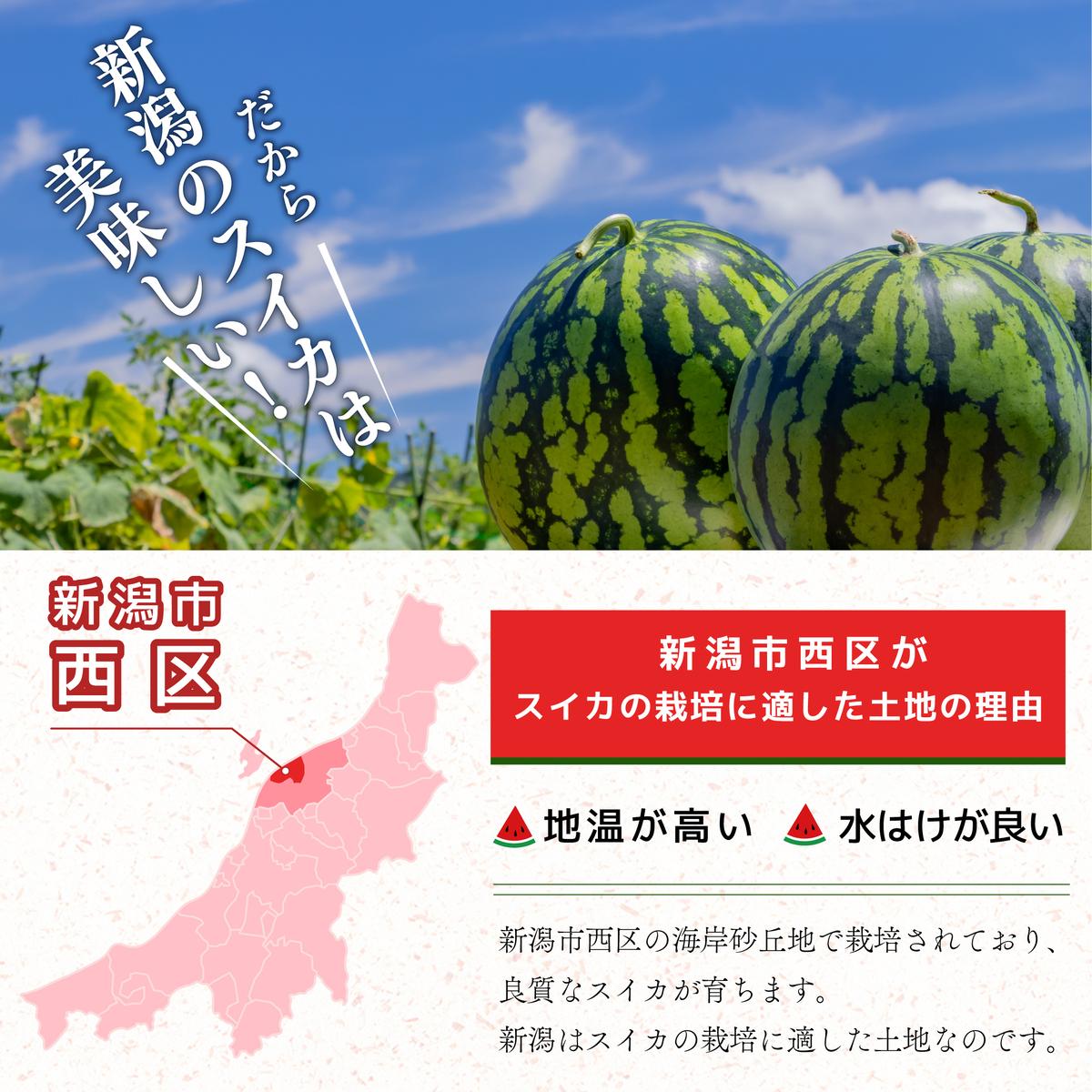 スイカ 大玉すいか （ 祭ばやし ） 秀L 2玉入り 約6～6.9kg×2玉