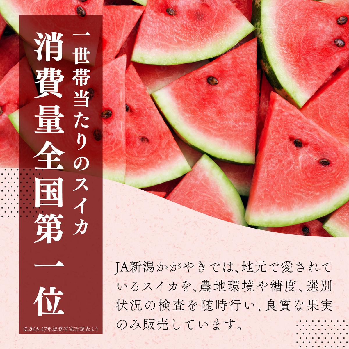 スイカ 大玉すいか （ 祭ばやし ） 秀L 2玉入り 約6～7kg×2玉 計12Kg以上 大玉 すいか フルーツ 果物 2玉 新潟 | 新潟県新潟市  | JRE MALLふるさと納税