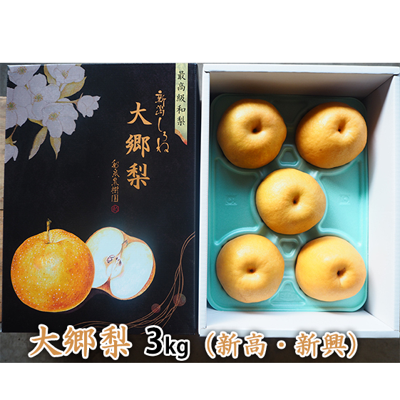 大郷梨 3kg（新高・新興どちらか） 梨 新高梨 新興梨 和梨 なし ナシ 新高 新興 フルーツ 果物 デザート おやつ ギフト 贈答 プレゼント 国産 新潟 