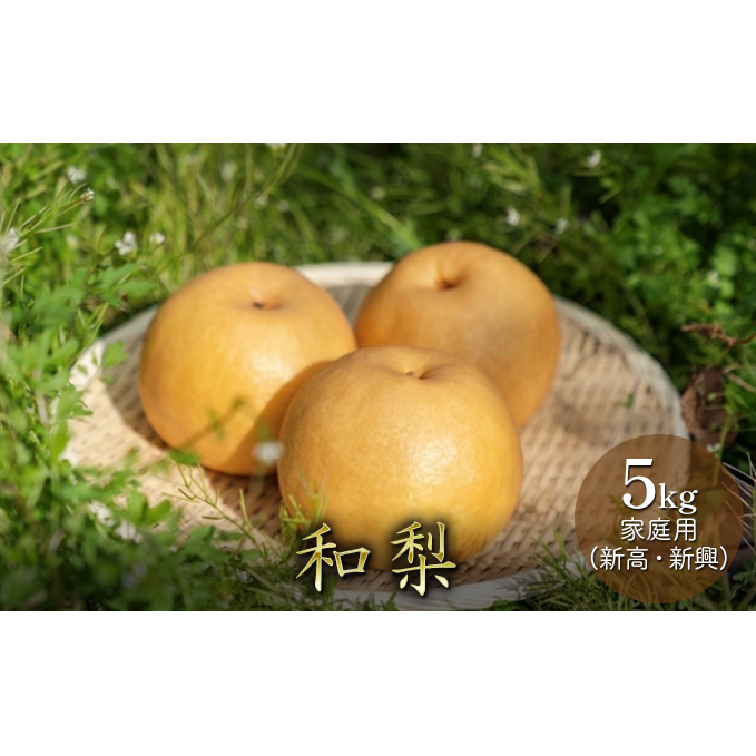 和梨 5kg 家庭用(新高・新興) 梨 新高梨 新興梨 和梨 なし ナシ 新高 新興 フルーツ 果物 デザート おやつ 国産 新潟