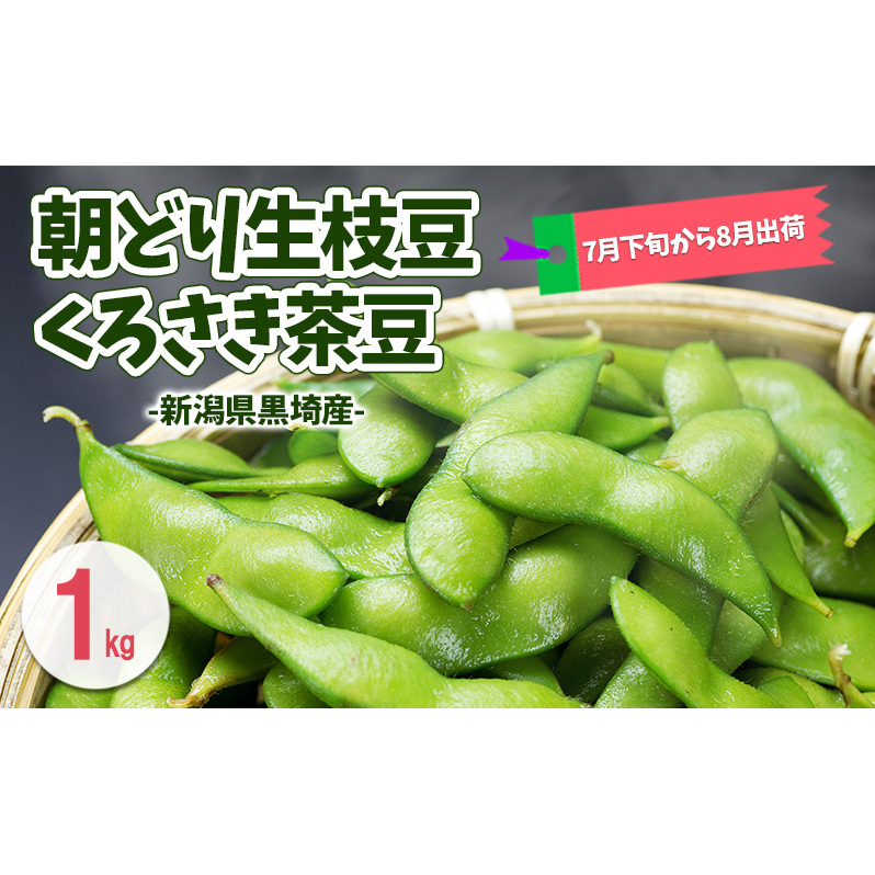 朝どり生枝豆 くろさき茶豆1kg 新潟県黒埼産 新潟市 枝豆 えだまめ えだ豆 茶豆