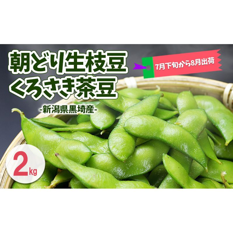 朝どり生枝豆 くろさき茶豆2kg 新潟県黒埼産 新潟市 枝豆 えだまめ えだ豆 茶豆