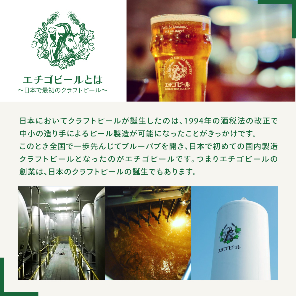 エチゴビール 350ml × 12缶 セット クラフトビール 詰め合わせ ビール 