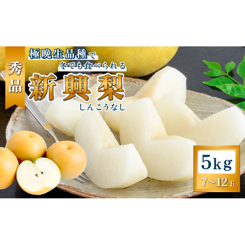 日本なし 新興（5kg秀品7～12玉） 梨 なし ナシ 大玉 フルーツ 果物 5kg 7玉 8玉 9玉 10玉 12玉産地直送 新潟市産 新潟 