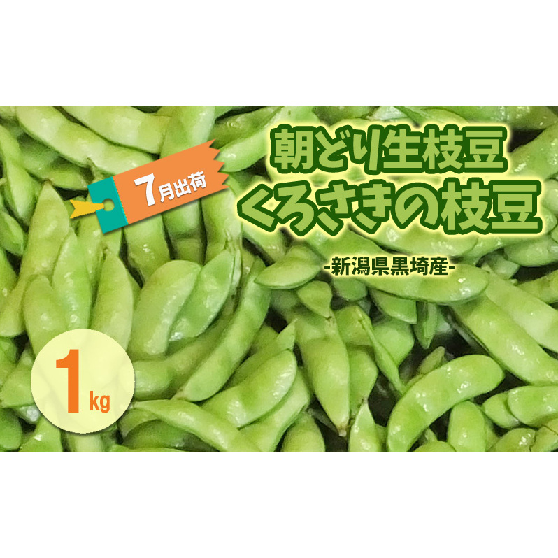 7月出荷 朝どり生枝豆 くろさきの枝豆1kg 新潟県黒埼産 新潟市 枝豆 えだまめ えだ豆