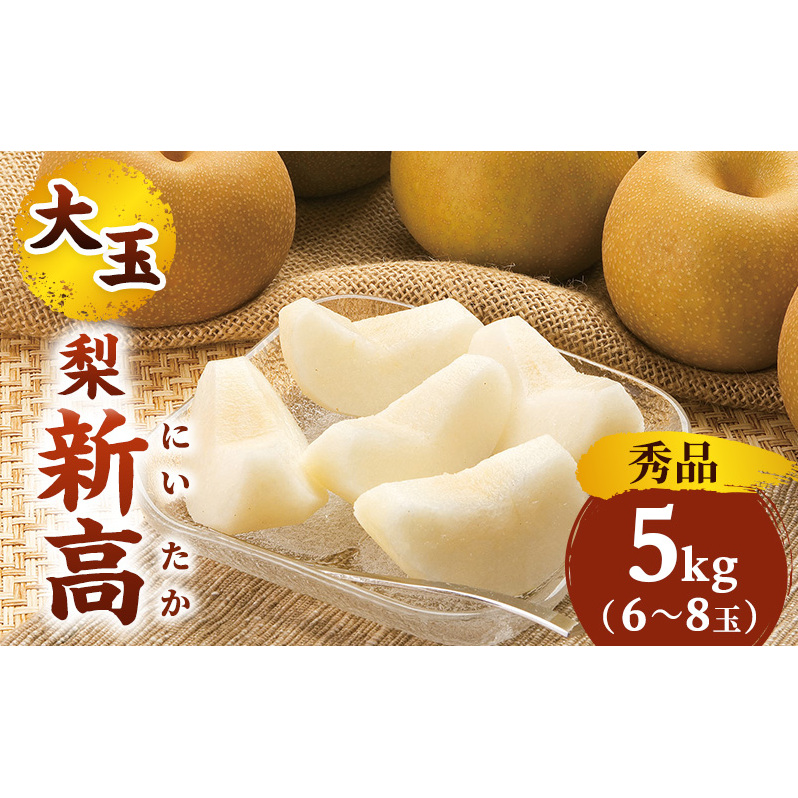 日本なし 新高(5kg秀品6~8玉) 梨 なし ナシ 大玉 フルーツ 果物 5kg 6玉 7玉 8玉 産地直送 新潟市産 新潟