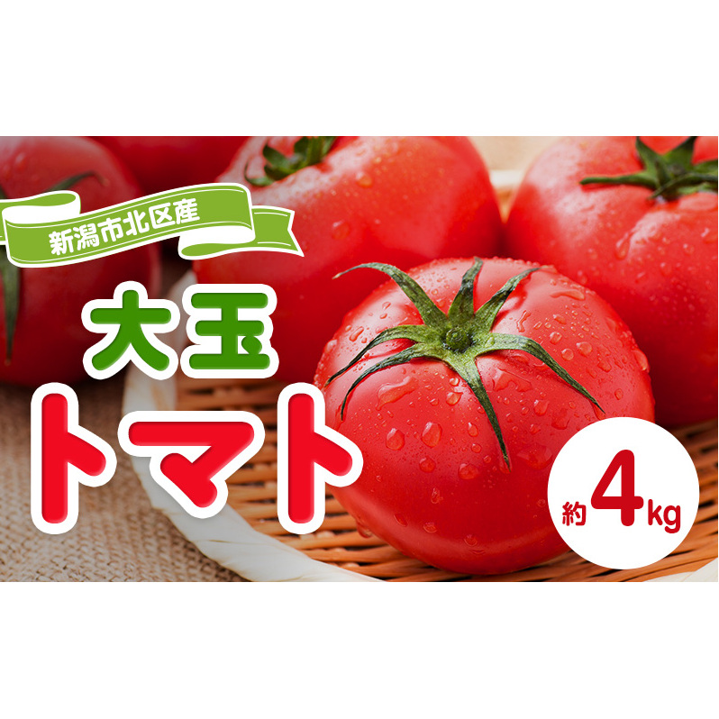 トマト 大玉系 約4kg  23～24玉 （ にごりかわトマト または 豊栄トマト） とまと 野菜 新鮮 産地直送 新潟県産 新潟市産 期間限定 