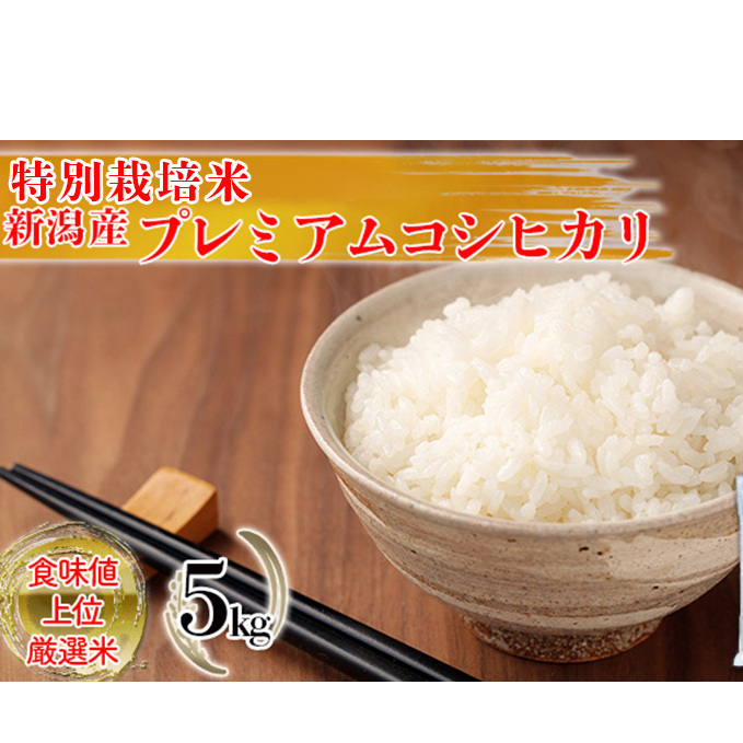 特別栽培米 新潟産コシヒカリ白米 5kg お米 こしひかり