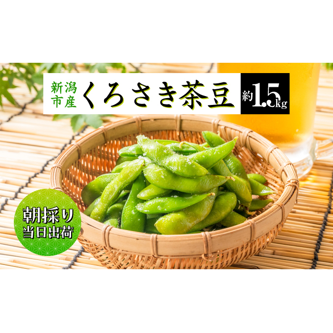 【先行予約】枝豆 くろさき 茶豆 1.5kg (7月中旬～8月上旬お届け) えだまめ 朝採り 新鮮 豆 野菜 冷蔵 産地直送 新潟茶豆 ビール 晩酌 おつまみ 新潟 