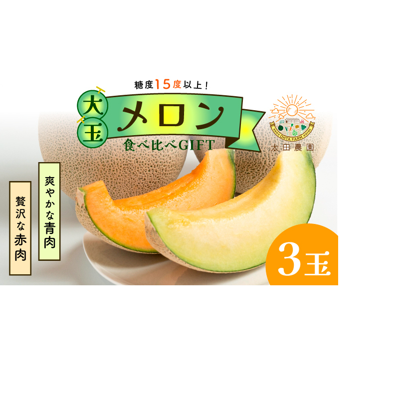 太田農園メロン“GIFT”赤肉メロン&青肉メロンセット(合計3玉) 2025年 先行予約 メロン セット 糖度 赤肉 青肉  高級 果物 フルーツ おやつ デザート 新潟 夏フルーツ