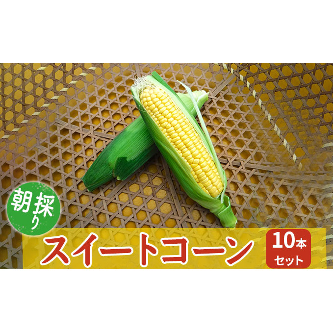 朝採りスイートコーン 10本セット 野菜 とうもろこし