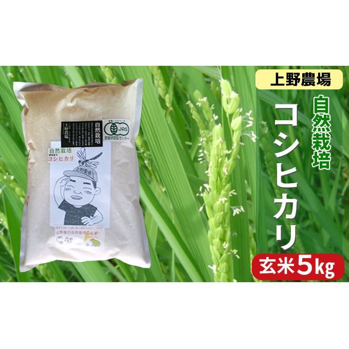 上野農場 自然栽培コシヒカリ 玄米5kg お米 こしひかり 米 玄米 新潟市
