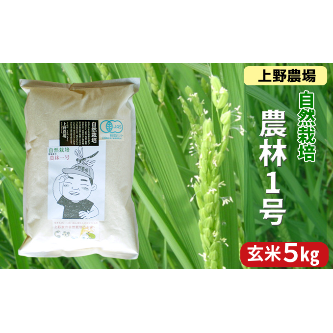 上野農場 自然栽培農林1号 玄米5kg お米 米 玄米 新潟市