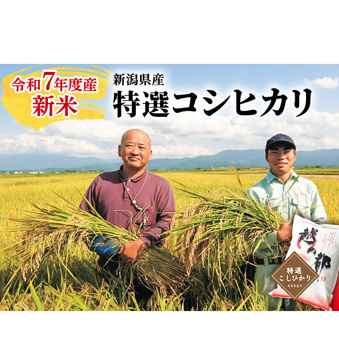 新潟県産 コシヒカリ 5kg 米 精米 白米 こめ コメ お米 おこめ こしひかり 新潟 新潟県 