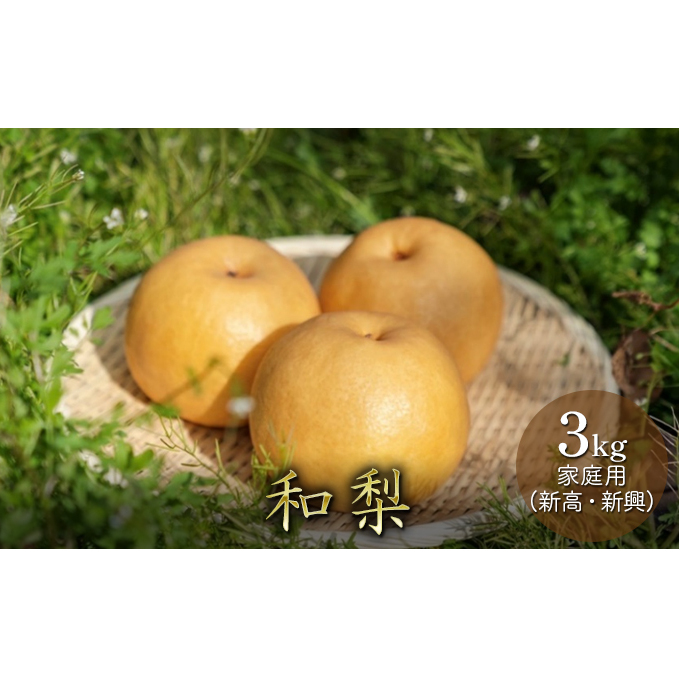 和梨 3kg 家庭用（新高・新興） 梨 新高梨 新興梨 詰め合わせ セット 和梨 なし ナシ 新高 新興 フルーツ 果物 デザート おやつ 国産 新潟 