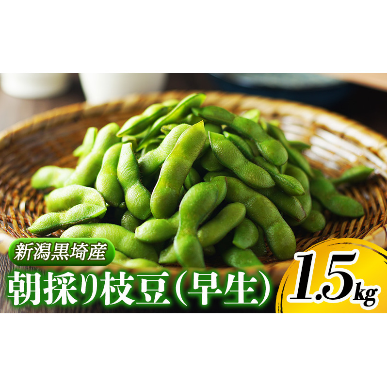 朝採り・新鮮・直送　新潟黒埼産　朝採り枝豆（早生）　1.5ｋｇ《6月下旬～7月下旬頃順次発送》 野菜 