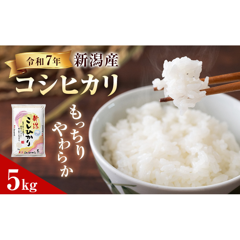 R7年産米 新潟産コシヒカリ5kg