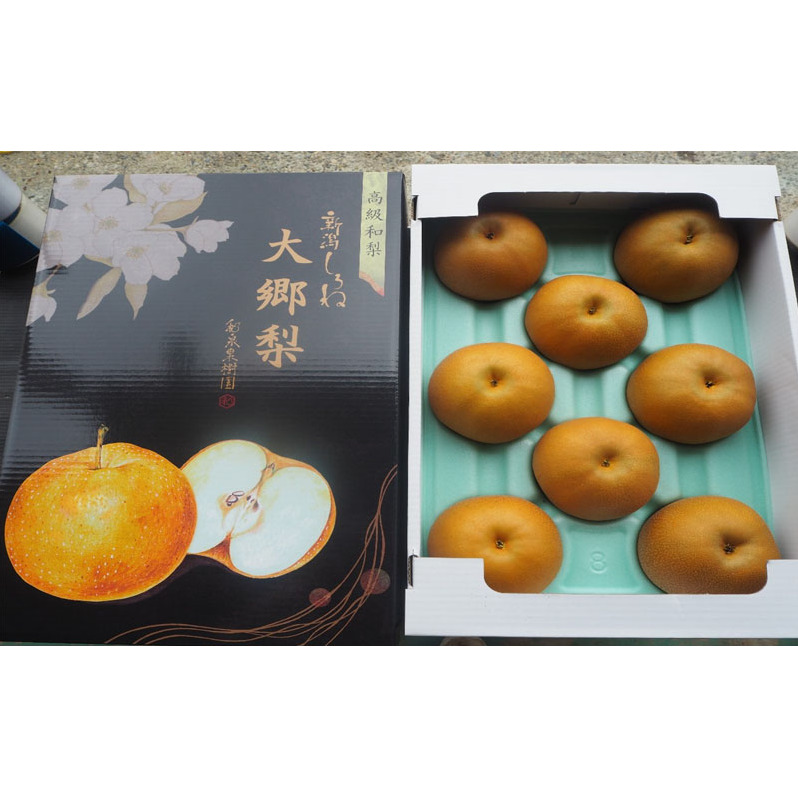 大郷梨5kg(新美月・秋月)