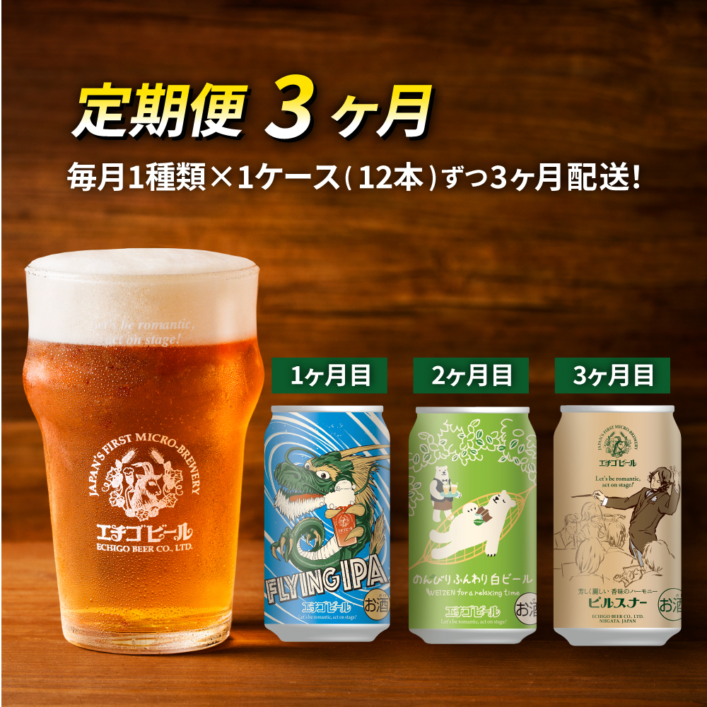 【定期便3ヶ月】エチゴビール【1ヶ月目】FLYING IPA350ml缶×12本【2ヶ月目】のんびりふんわり白ビール350ml缶×12本【3ヶ月目】ピルスナー350ml缶×12本 ビール 全国第一号 クラフトビール 350ml 12本 酒 定期便 3回 お楽しみ