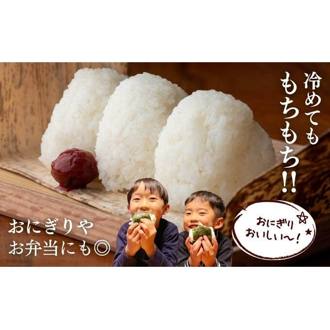 堆肥で育てた 新潟産 こしひかり 5kg コシヒカリ 米 お米 こめ コメ 白米 精米 減農薬 産地直送 新潟県産 新潟県 新潟 | 新潟県新潟市 |  JRE MALLふるさと納税