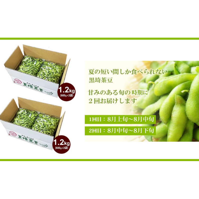 2024年8月 2回お届け】くろさき茶豆1.2kg 2024年 先行予約 定期便 枝豆 野菜 つまみ おつまみ えだまめ エダマメ 新潟 定期  お楽しみ 2回 | 新潟県新潟市 | JRE MALLふるさと納税